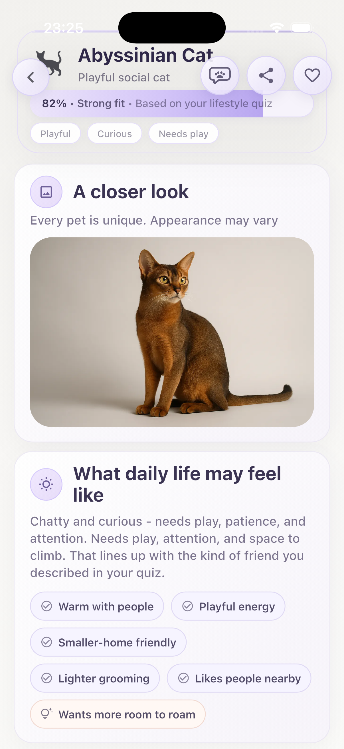 What?Pet pet detail