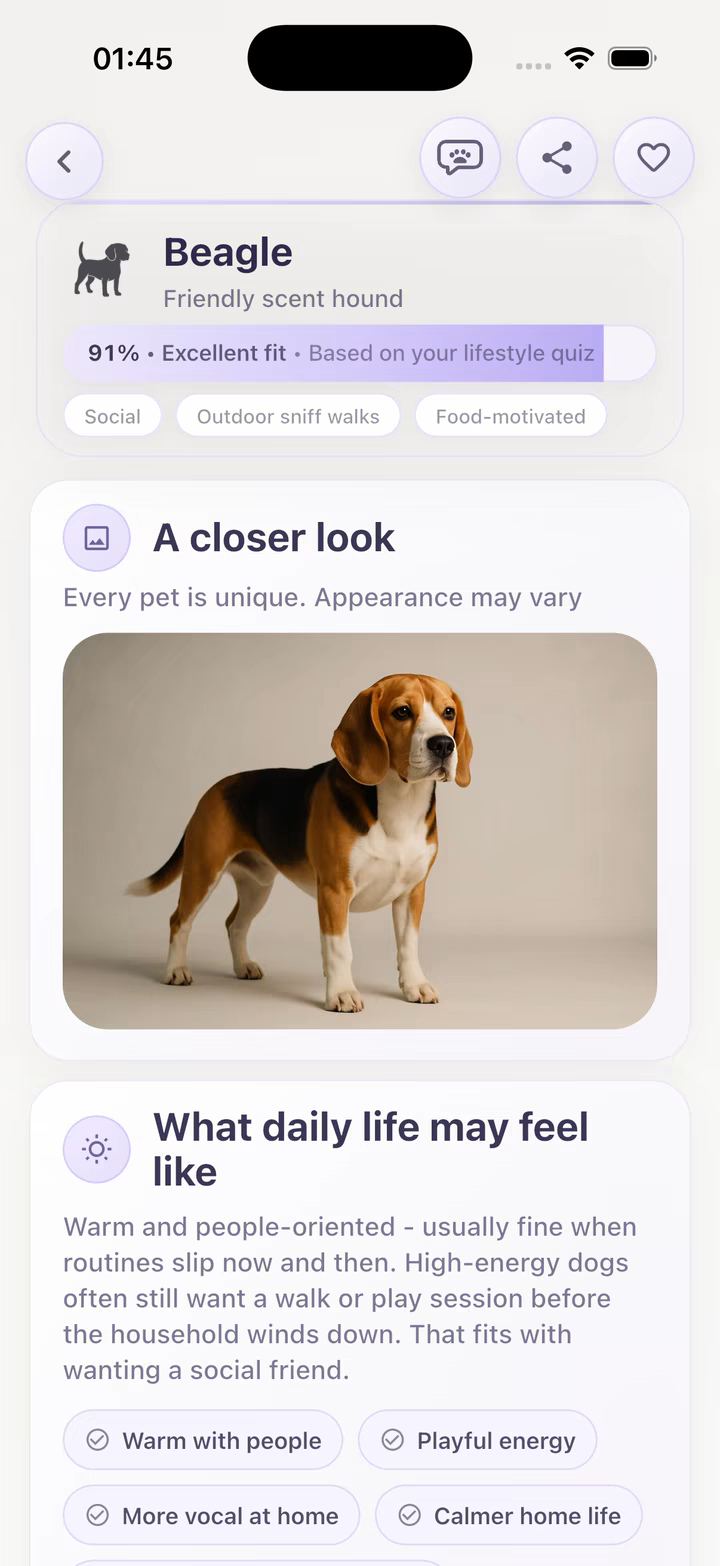 Beagle profile with a lifestyle match score