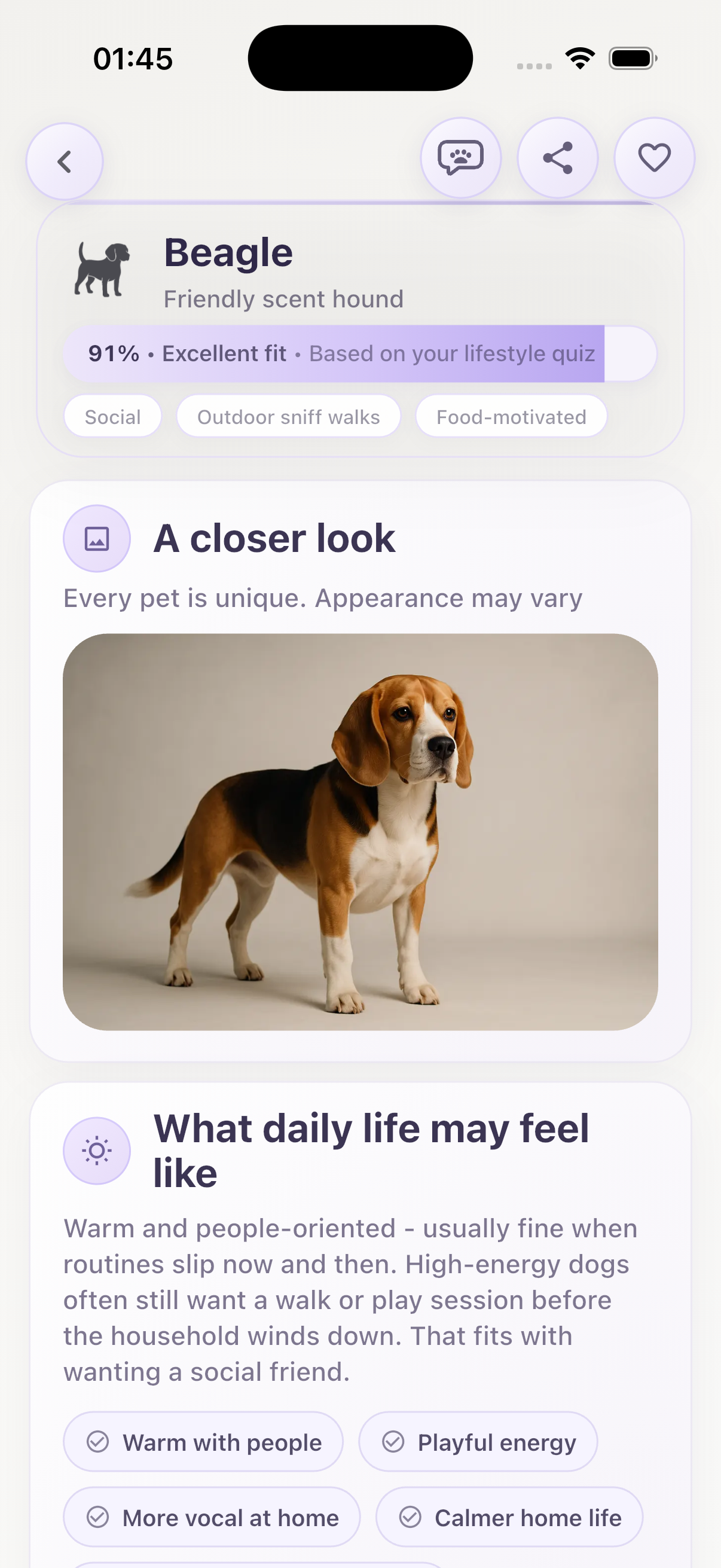 What?Pet match sample one