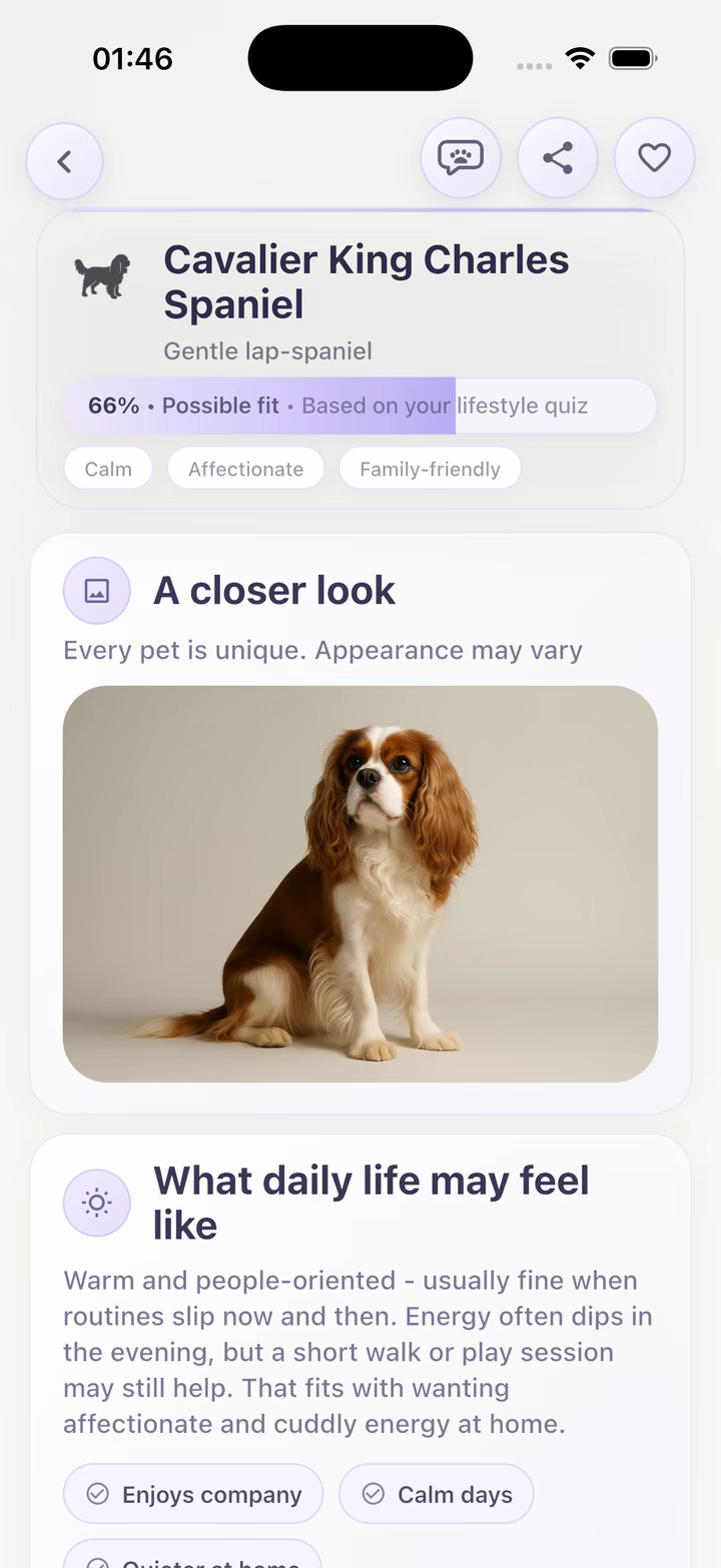 Cavalier King Charles Spaniel profile in the app
