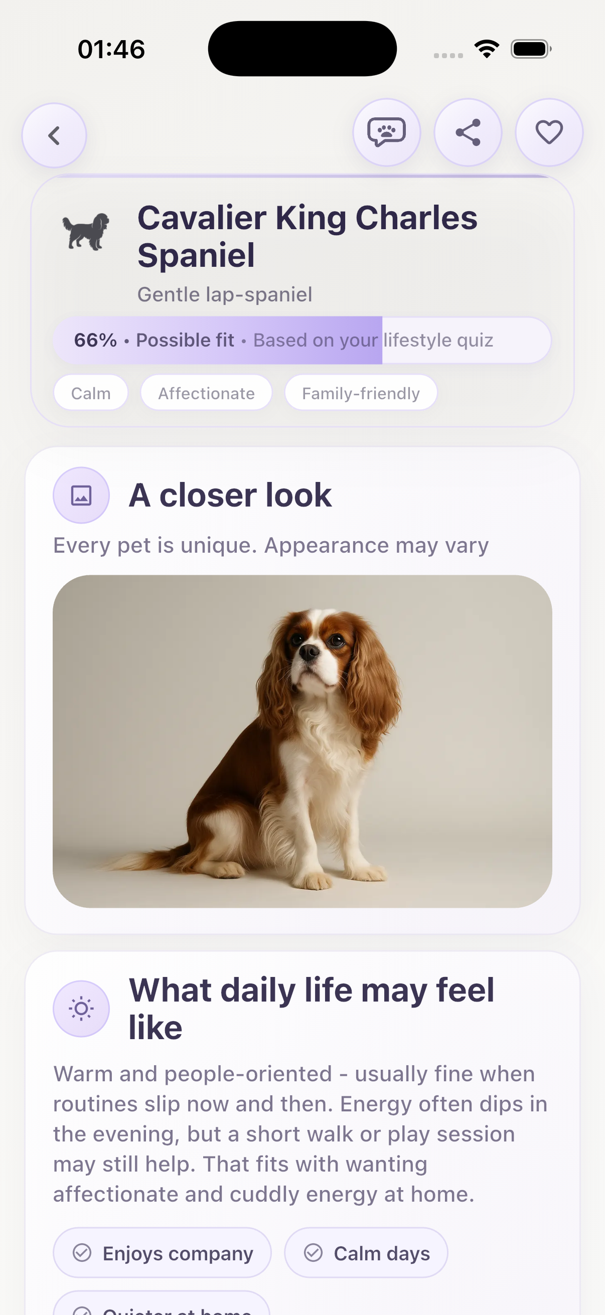 What?Pet match sample two