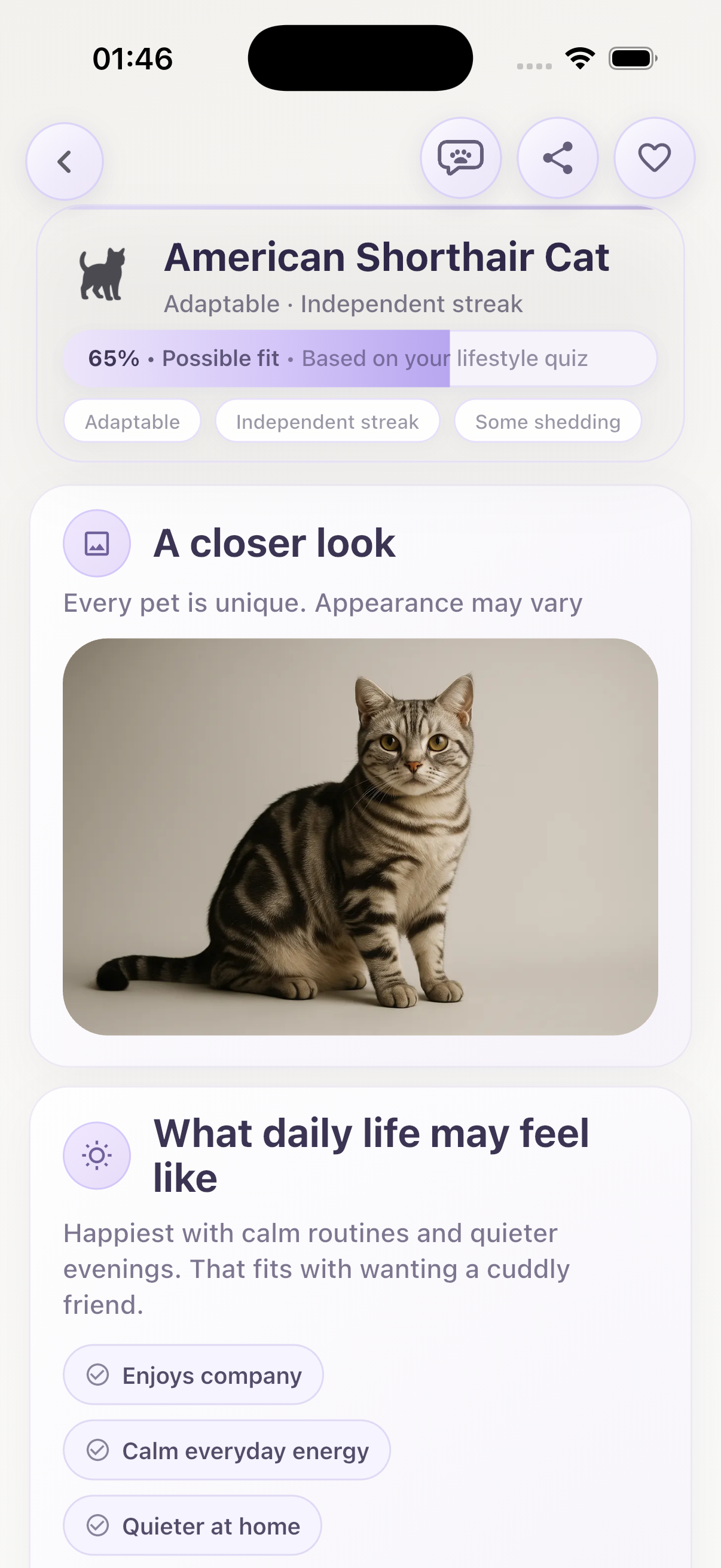 What?Pet match sample three