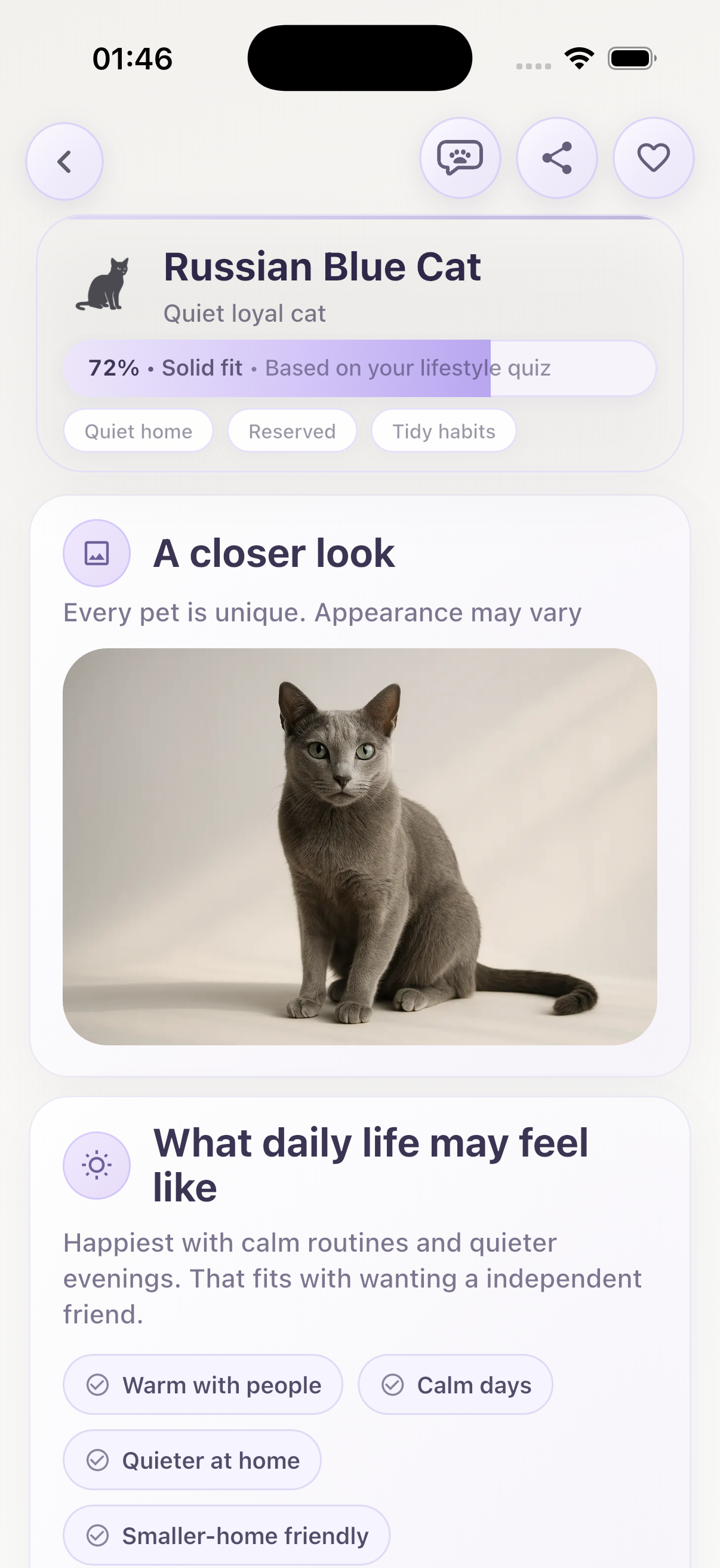 What?Pet match sample four