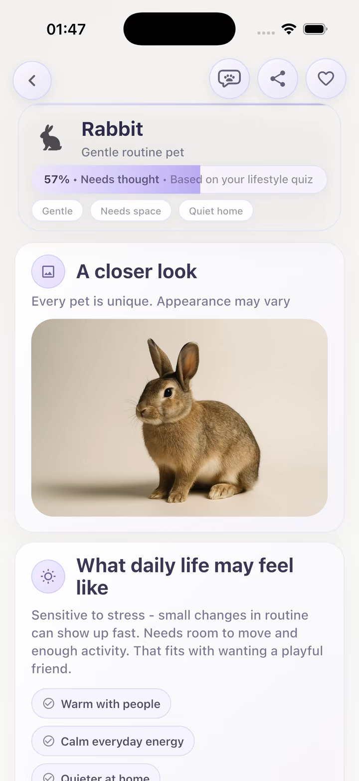 Rabbit profile with lifestyle fit notes