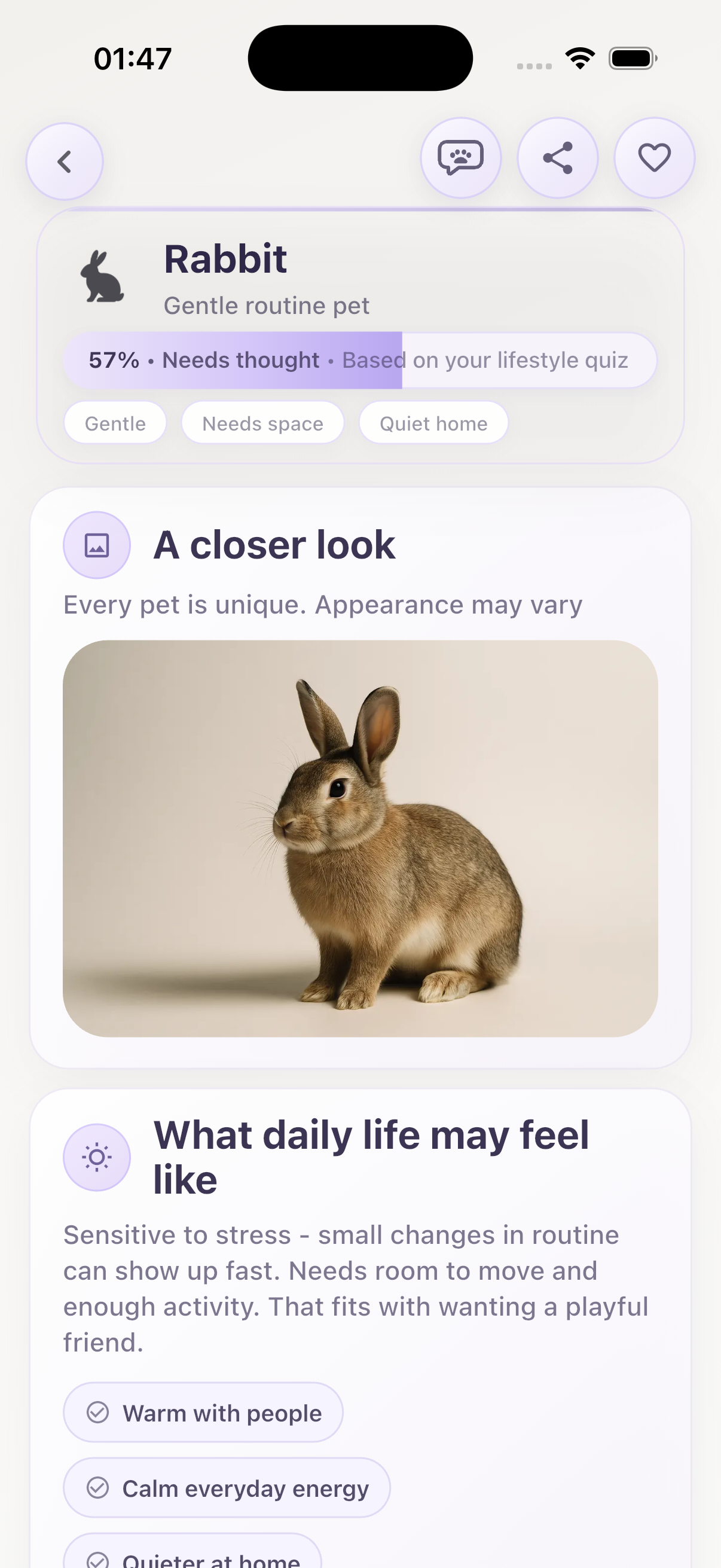 What?Pet match sample five